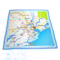 Image 2 of The Charleo Silk Map Scarf