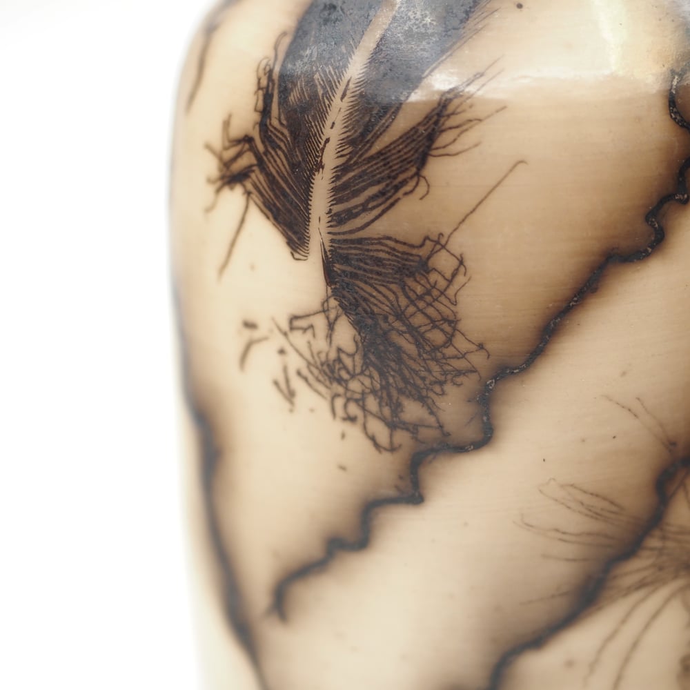Image of Horsehair and Feather Raku Pot 002