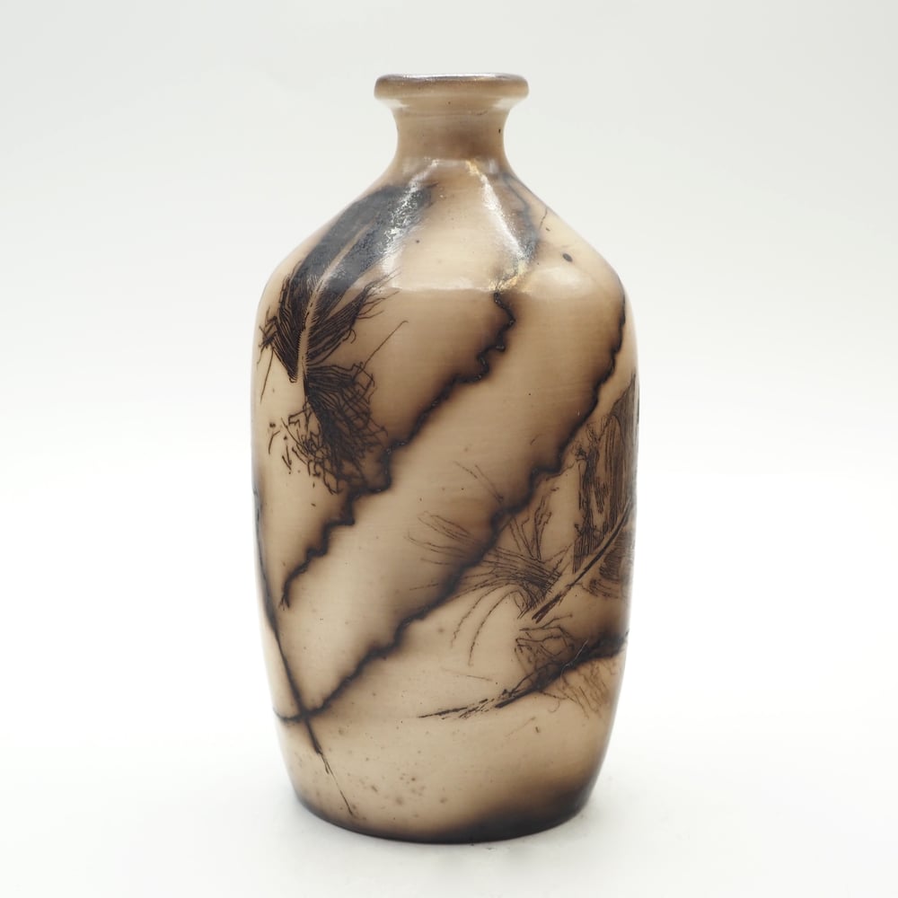 Image of Horsehair and Feather Raku Pot 002