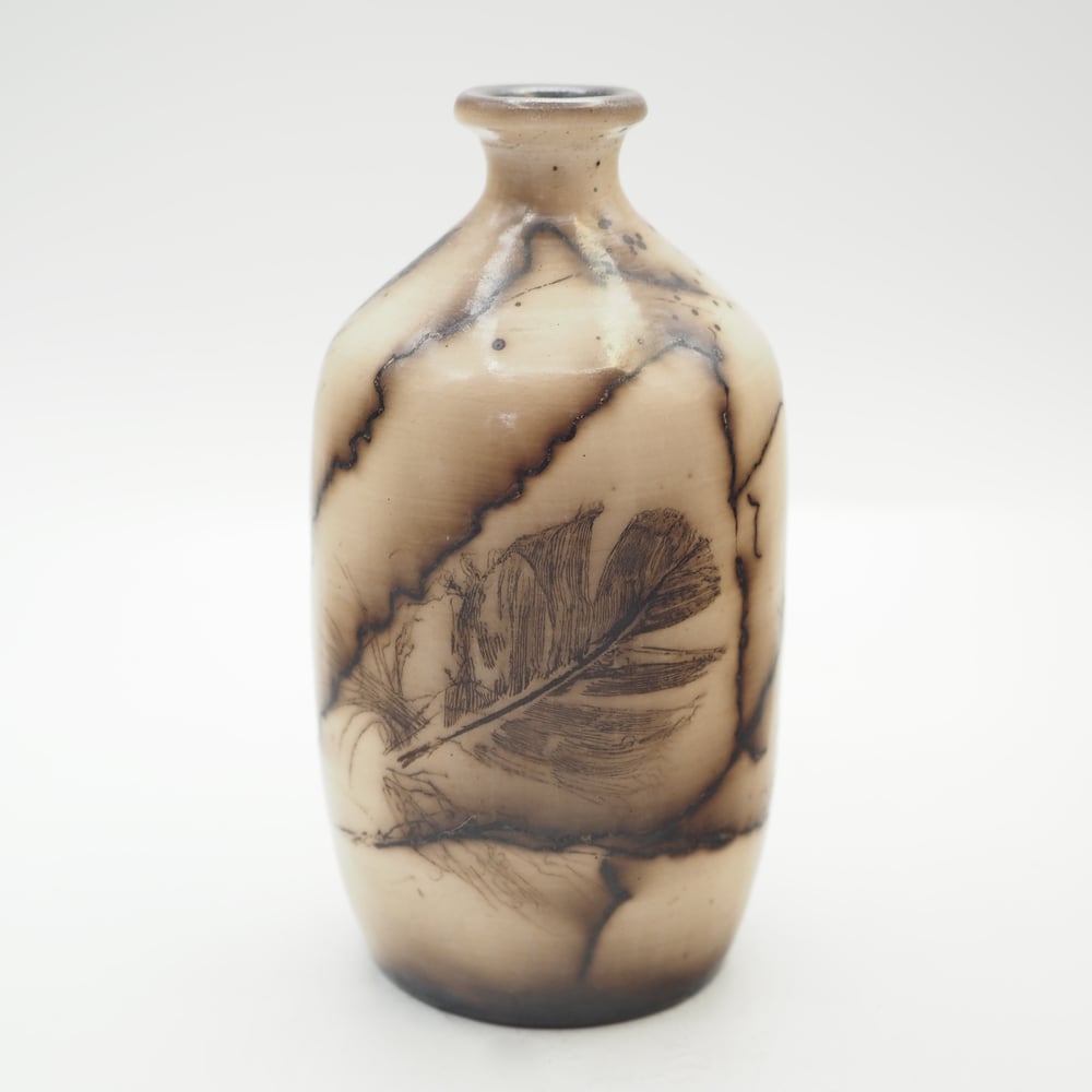 Image of Horsehair and Feather Raku Pot 002