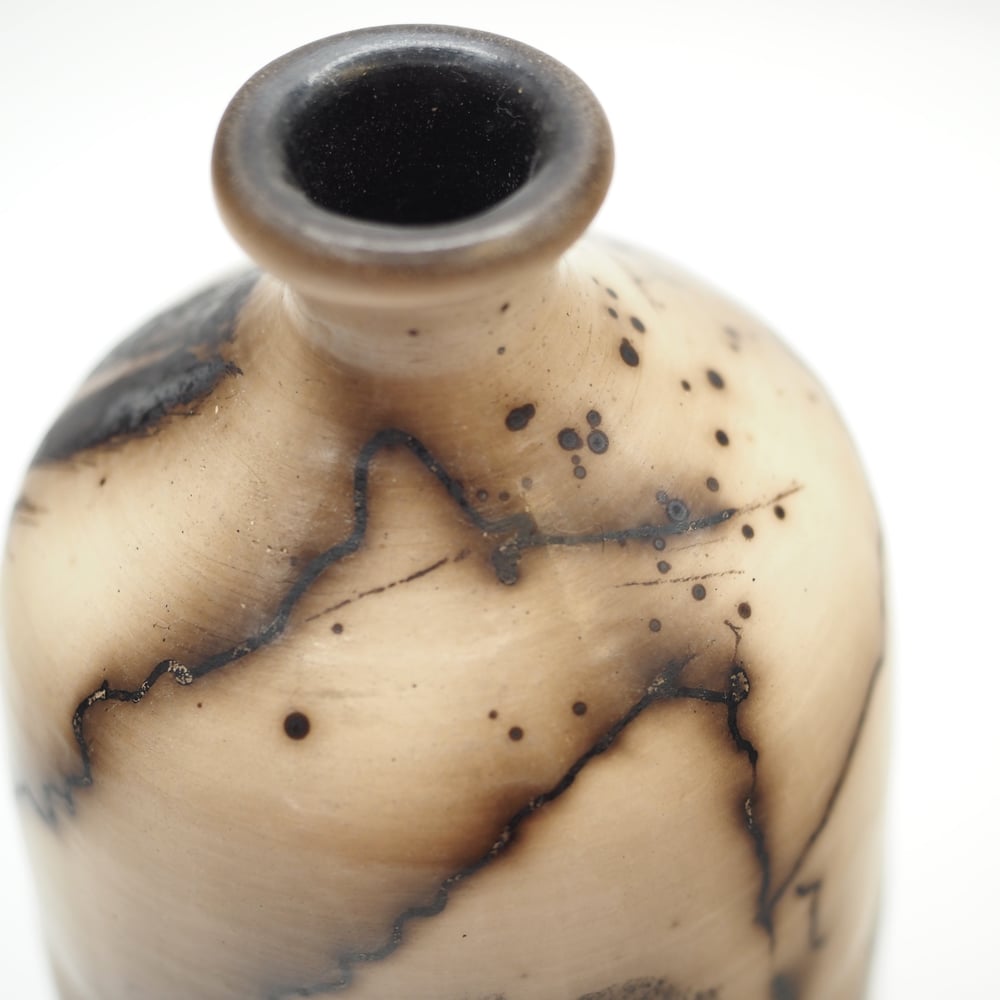Image of Horsehair and Feather Raku Pot 002