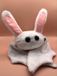 Image 2 of Bunny Bean Bat