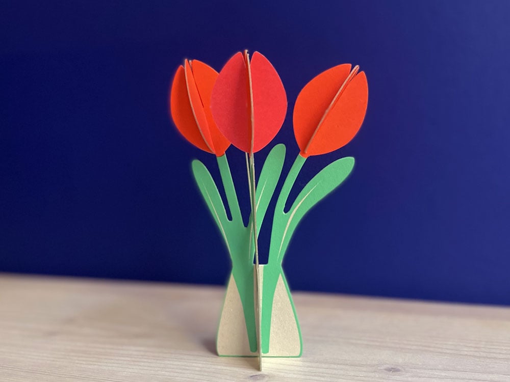 Image of KARTE Tulpen