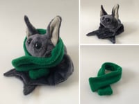 Image 1 of Bean the Bean Bat