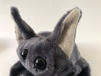Image 7 of Bean the Bean Bat
