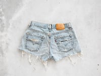 Image 2 of W26 Shorts