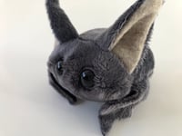 Image 3 of Puffer Bat
