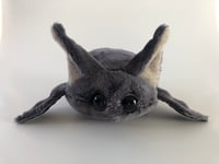 Image 2 of Puffer Bat