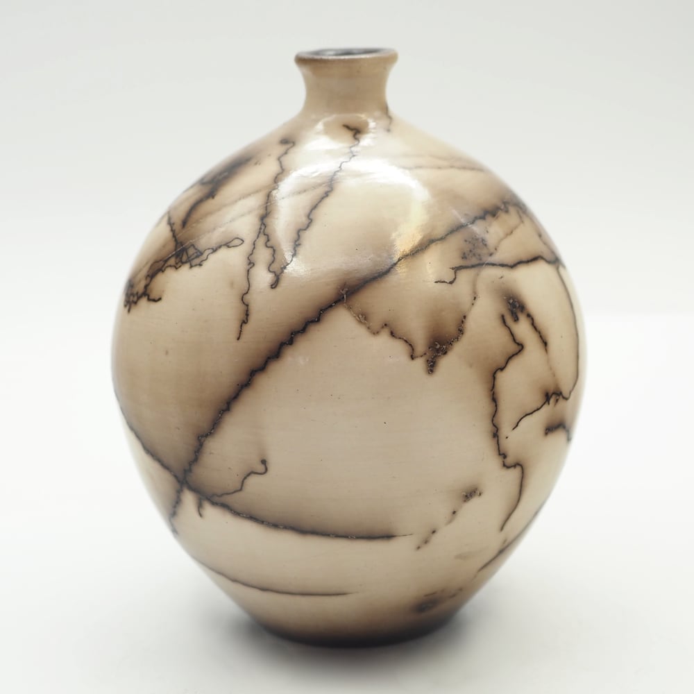 Image of Horsehair Raku Pot 005