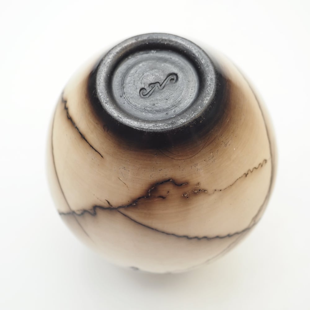 Image of Horsehair Raku Pot 005