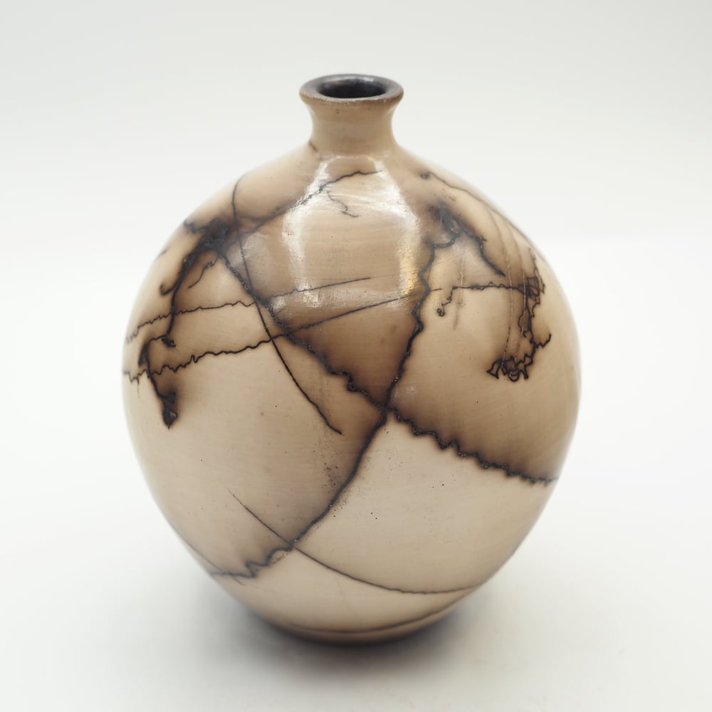 Image of Horsehair Raku Pot 005