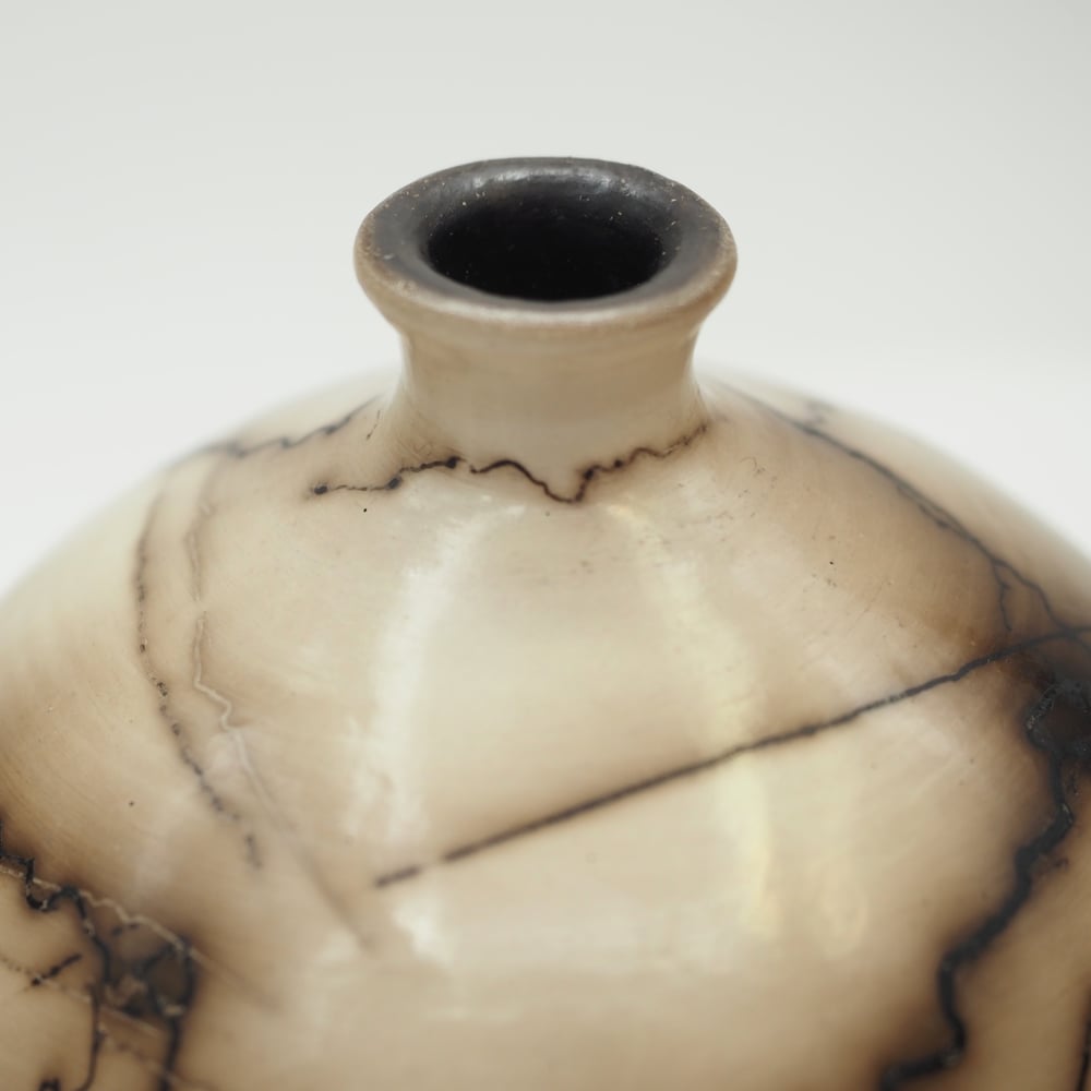 Image of Horsehair Raku Pot 005