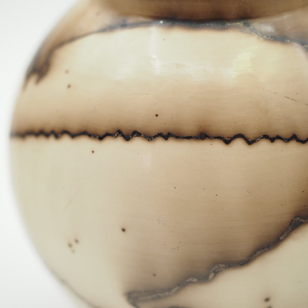 Image of Horsehair Raku Pottery 004