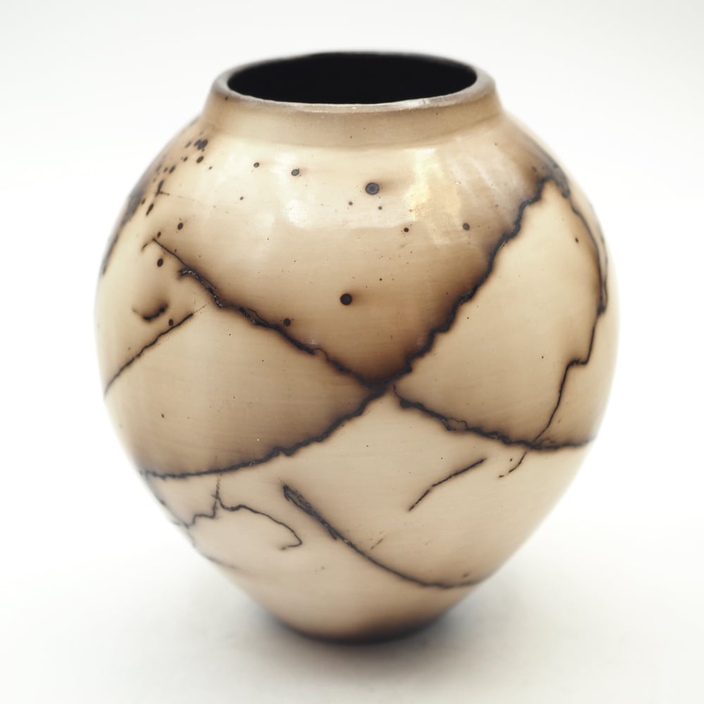Image of Horsehair Raku Pottery 004
