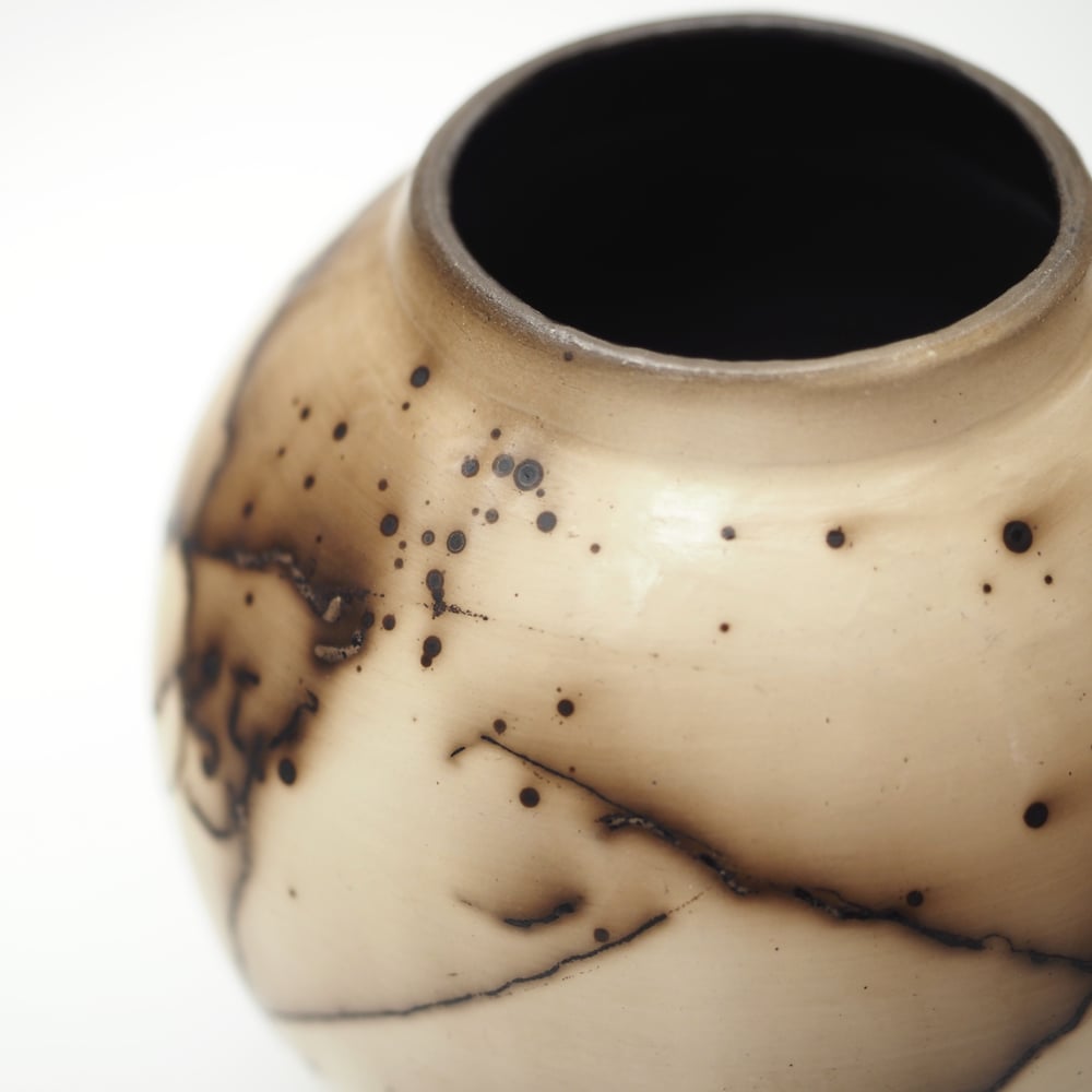 Image of Horsehair Raku Pottery 004