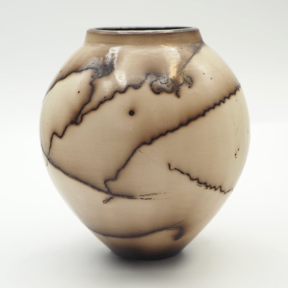 Image of Horsehair Raku Pottery 004