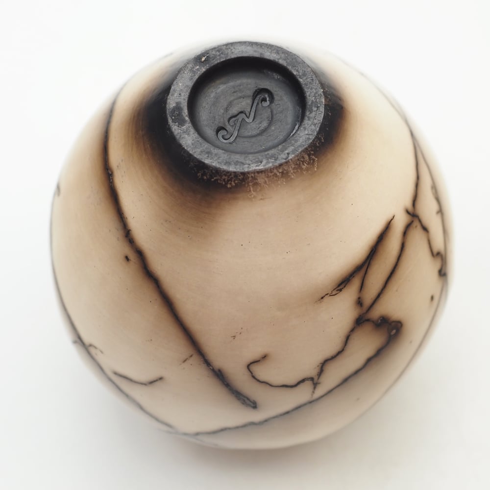 Image of Horsehair Raku Pottery 004