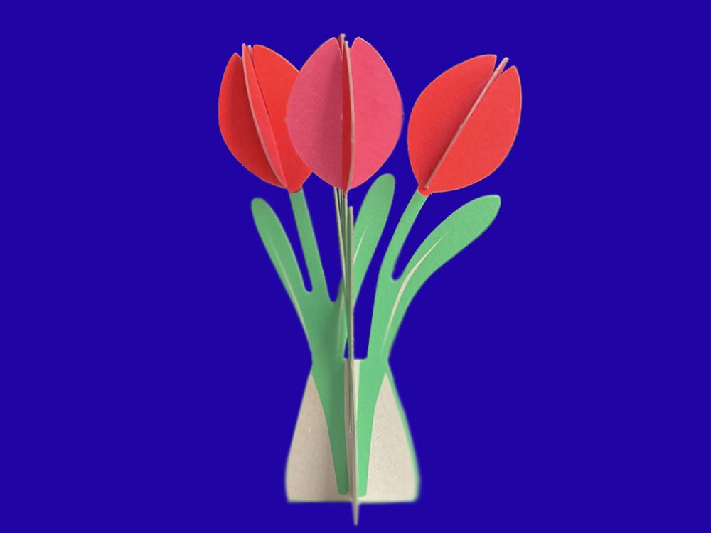 Image of KARTE Tulpen