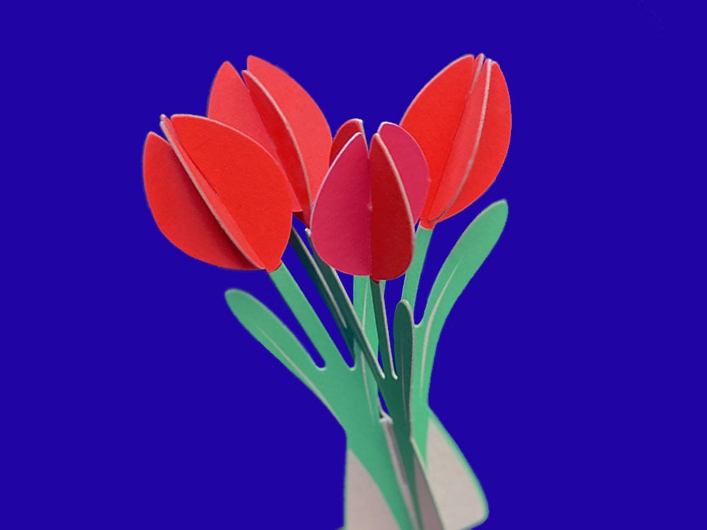 Image of KARTE Tulpen