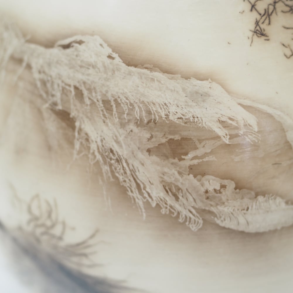 Image of Ghost Feather Raku Pot 002
