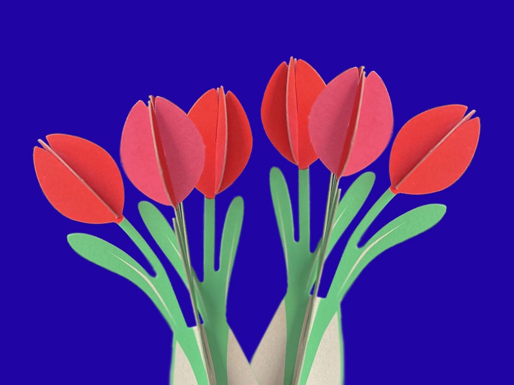 Image of KARTE Tulpen
