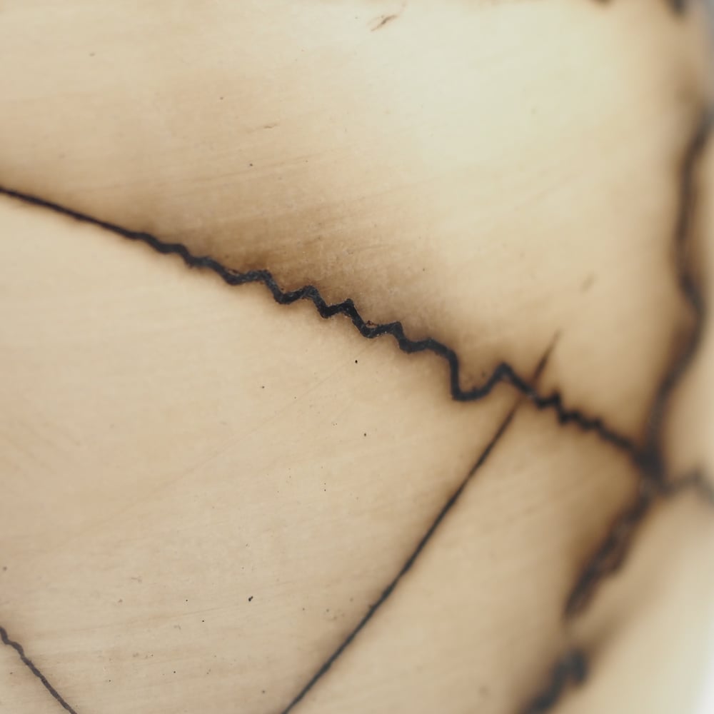 Image of Horsehair Raku Pot 003
