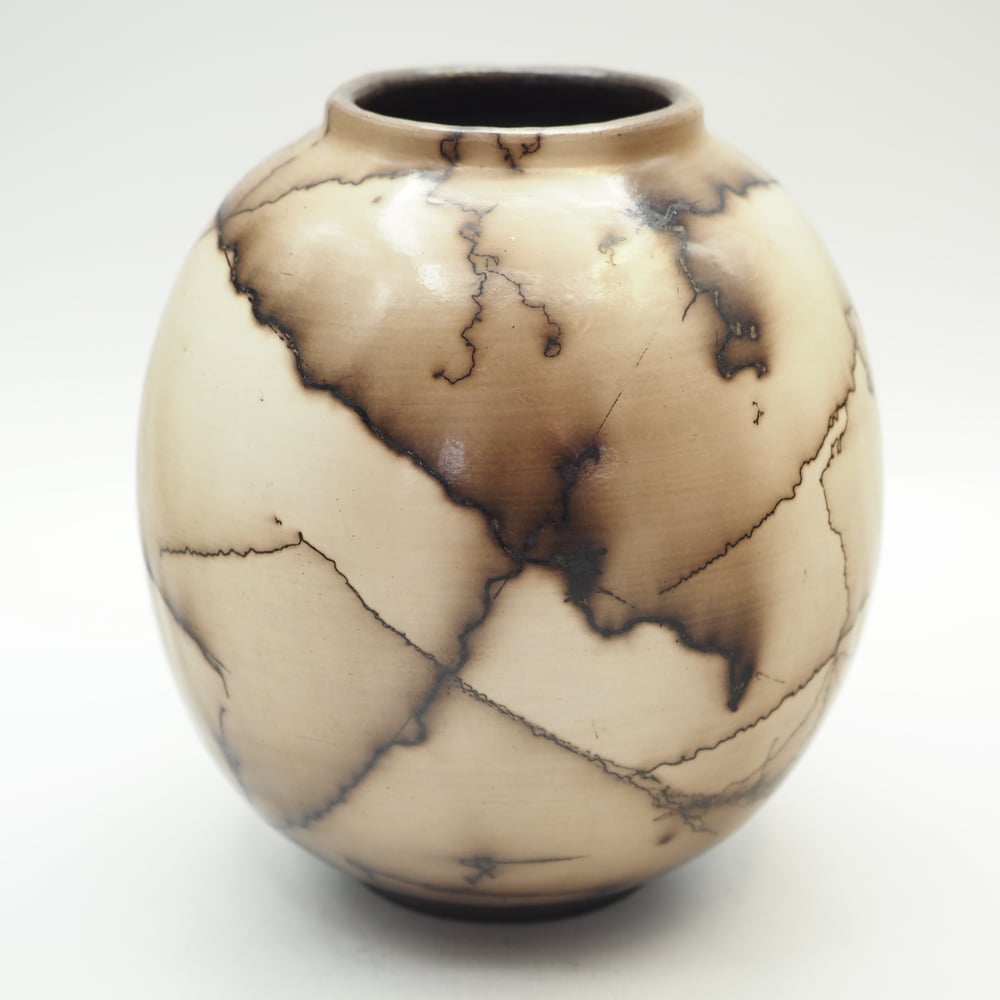 Image of Horsehair Raku Pot 003