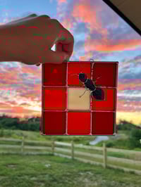 Image 1 of Ant on a Picnic Blanket