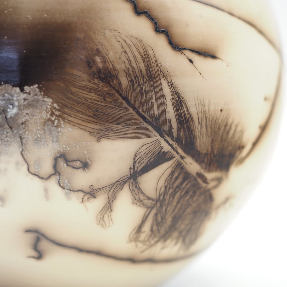 Image of Horsehair and Feather Raku Pot 001