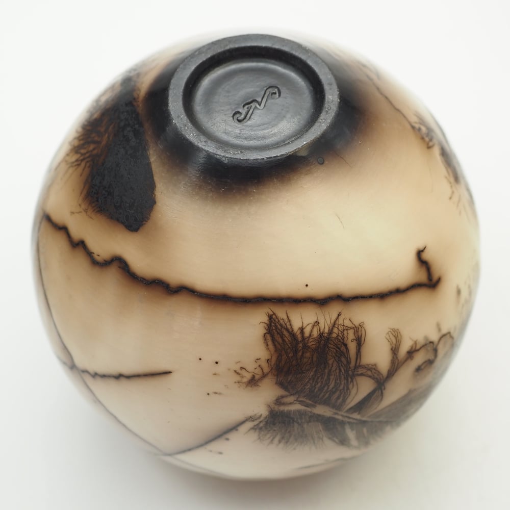 Image of Horsehair and Feather Raku Pot 001