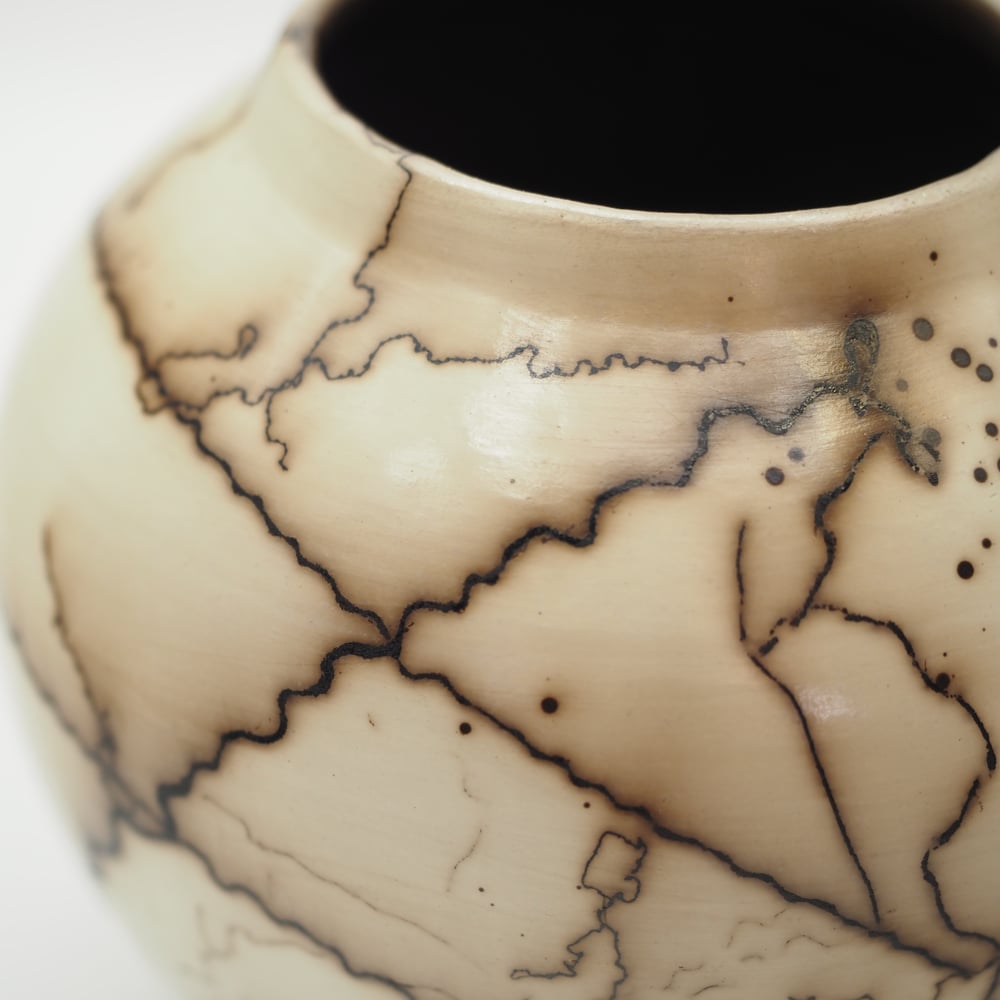 Image of Horsehair Raku Pot 002