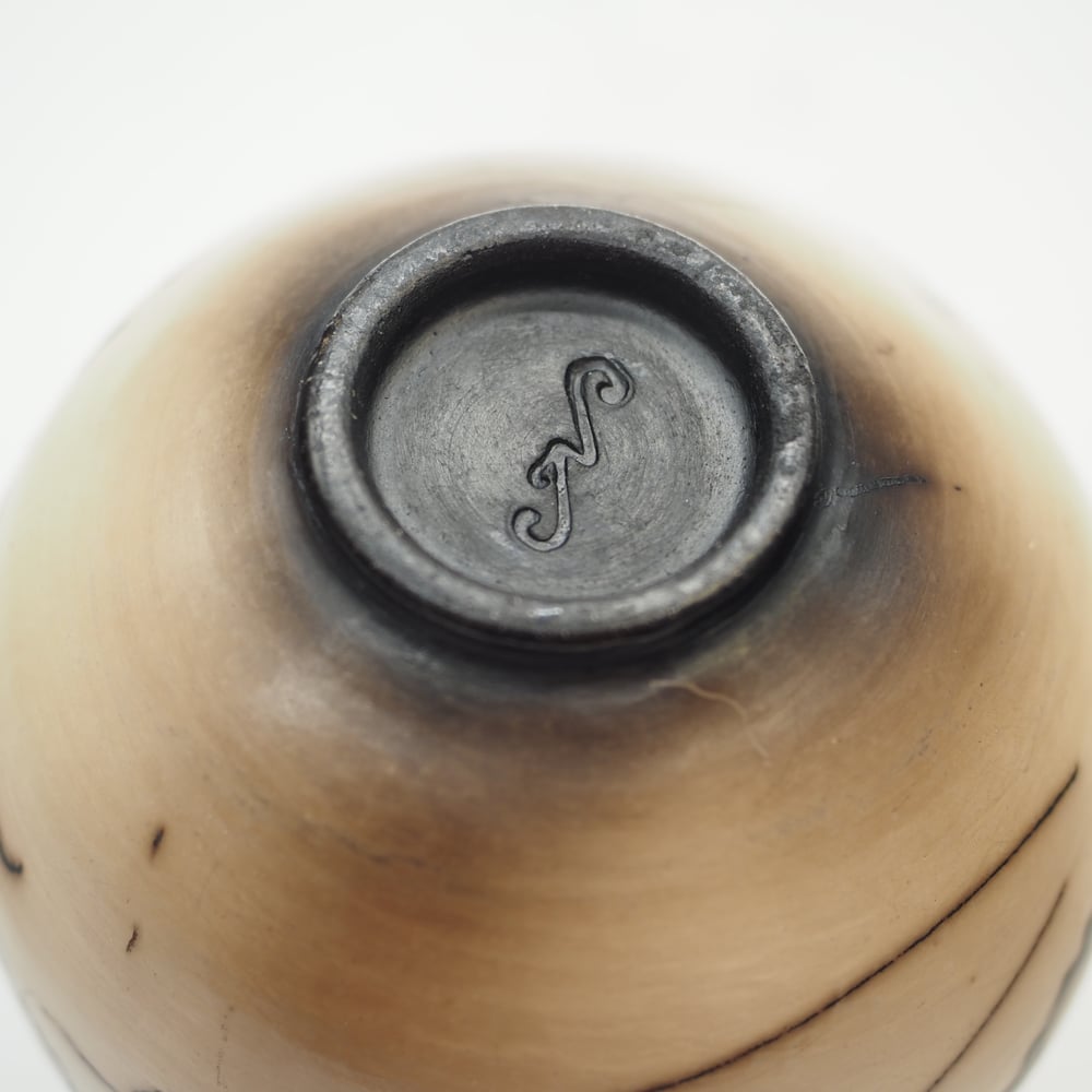 Image of Horsehair Raku Pot 001