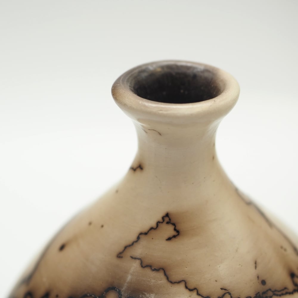Image of Horsehair Raku Pot 001