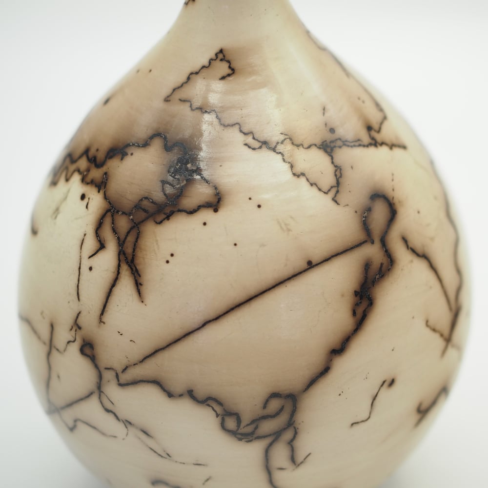 Image of Horsehair Raku Pot 001