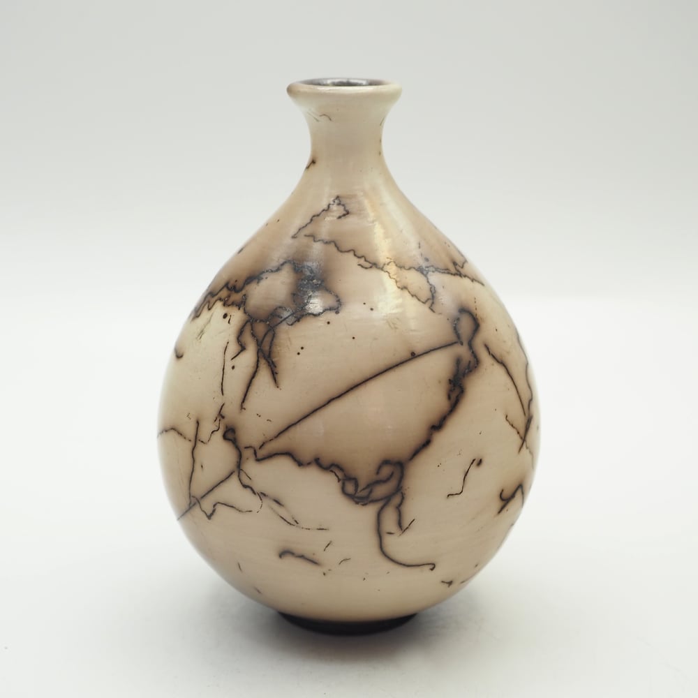 Image of Horsehair Raku Pot 001