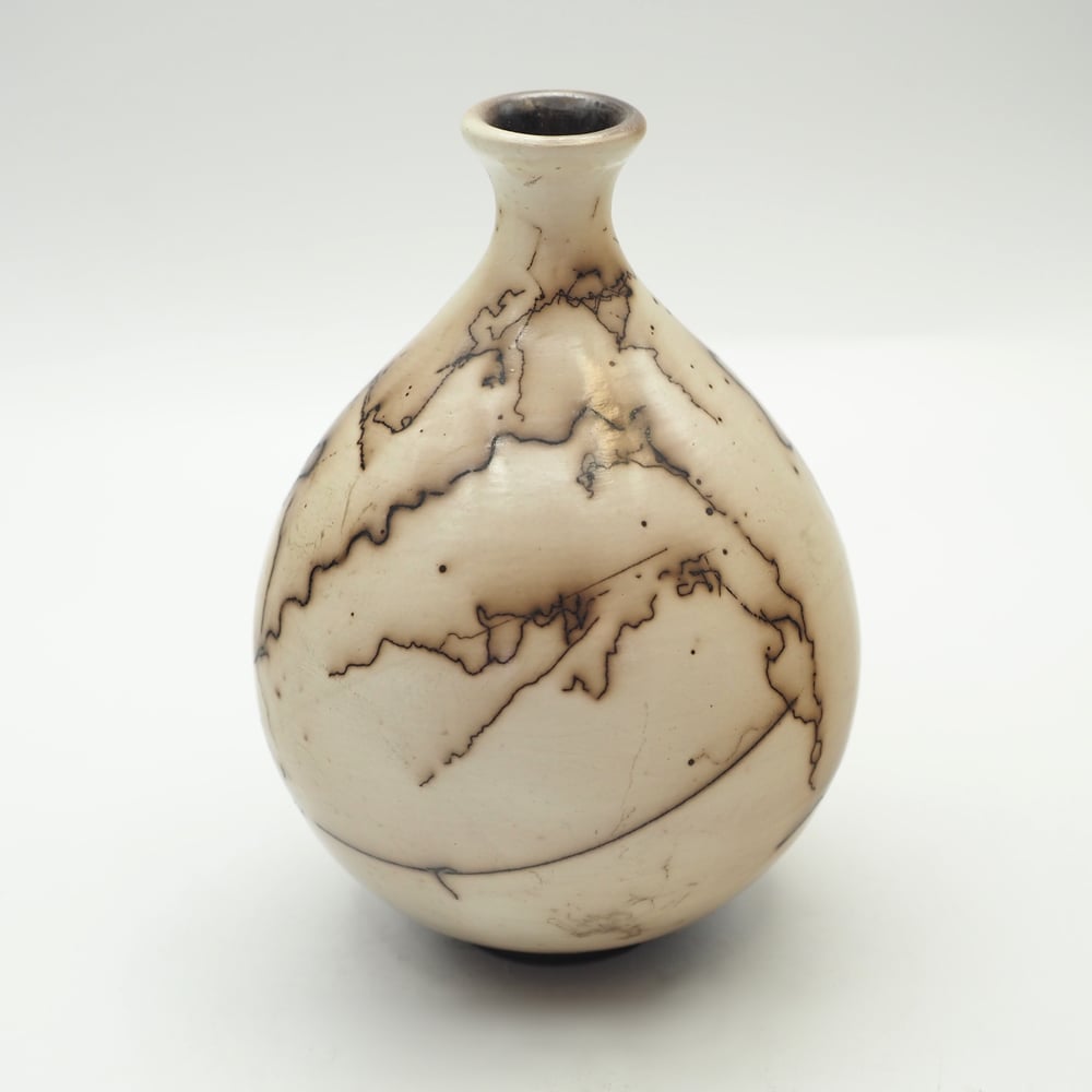 Image of Horsehair Raku Pot 001