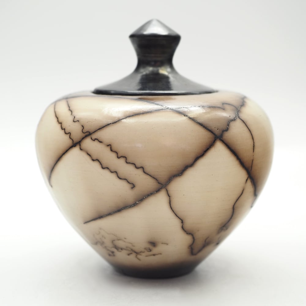Image of Horsehair Raku Lidded Pot