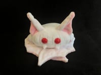 Image 3 of Albino Bean Bat