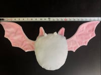 Image 8 of Albino Bean Bat