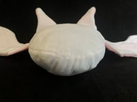 Image 7 of Albino Bean Bat