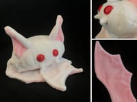 Image 1 of Albino Bean Bat