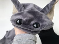 Image 3 of Jumbo Flat Bat