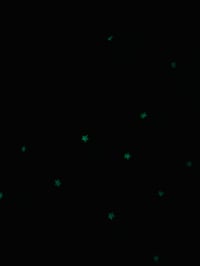 Image 6 of Glow-in-the-dark Halloween Jumbo Bean Bat