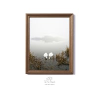 Image 1 of Soulmates in the mist exclusive print
