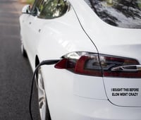 Image 3 of I Bought This Before Elon Went Crazy Vinyl Decal for Vehicle- Easy To Apply- Handmade Vehicle Dec...