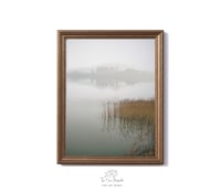Image 1 of Reeds in the mist exclusive print