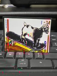 Goat on a skateboard