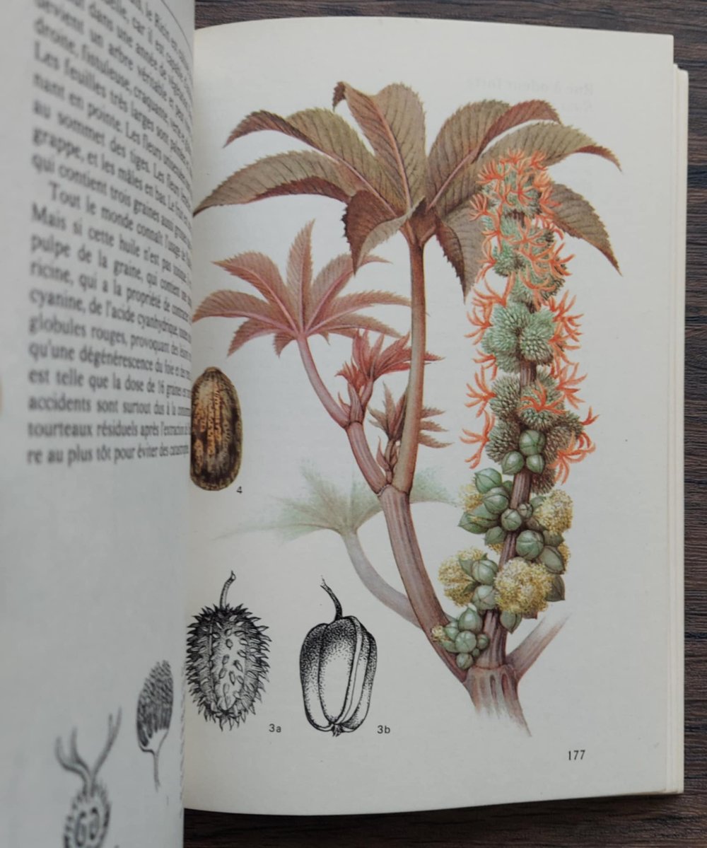 Plantes Toxiques, by Georges Becker