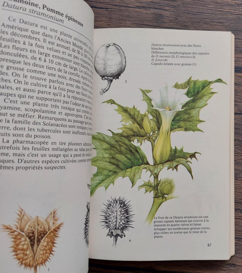 Plantes Toxiques, by Georges Becker