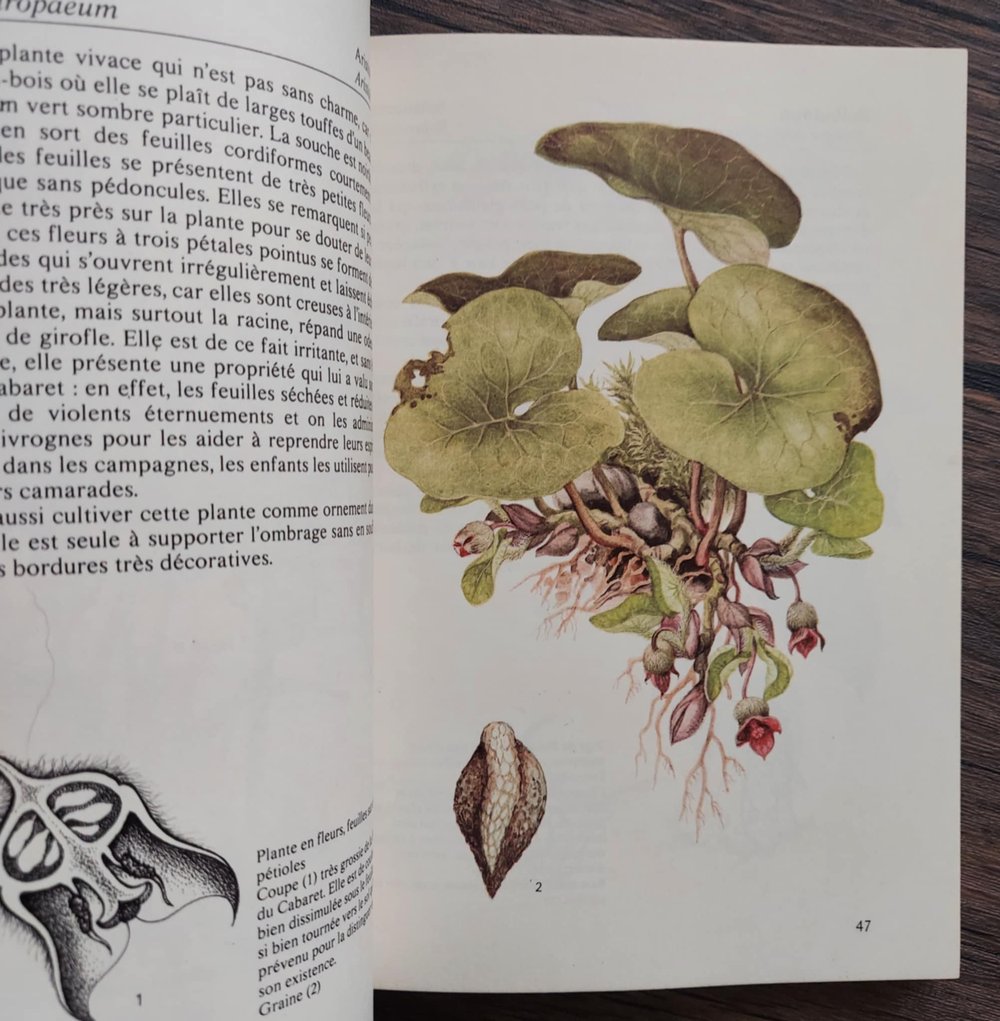 Plantes Toxiques, by Georges Becker